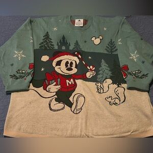 Disney Spirit Jersey Sweater